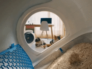 litiere-automatique-en-fonction